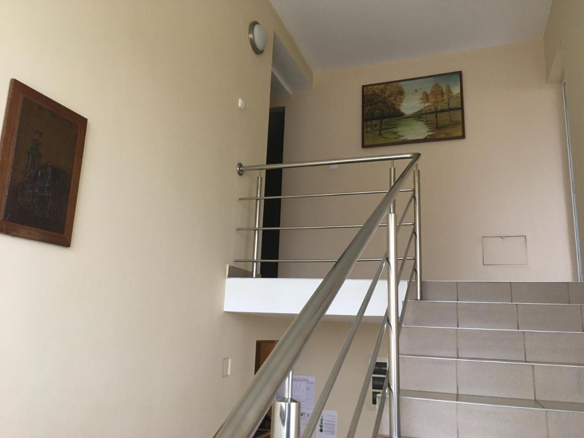 Pensiunea Brigi Satu Mare Eksteriør bilde